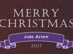 2017 Merry Christmas ~side Arlen~