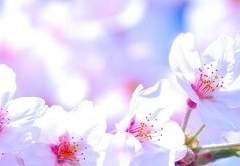 자, 오늘도 힘내 보자고!