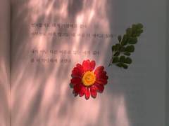 떡 하나 주면 안 잡아먹지!