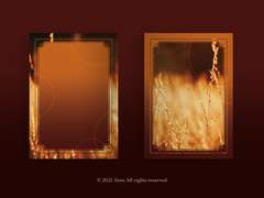 [분양완료] 54. 가을에서