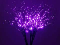 휘죽커 현 빈 프로필