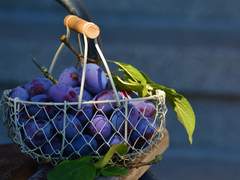 단편소설(연재)/<캡슐>/제4회