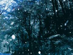 土銀 하얀 여우 完