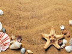 열 네번째 편지