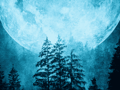 𝚄𝚗𝚍𝚎𝚛 𝚌𝚢𝚙𝚛𝚎𝚜𝚜_