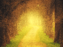 공지 - 좋은 일이에요.