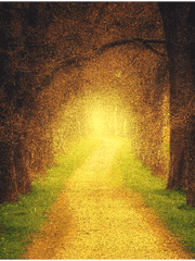 마녀의 여행길(연재중단)