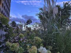 【휘죽커】라프