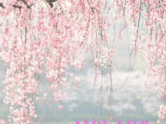 꽃이 지네 19-20(完)