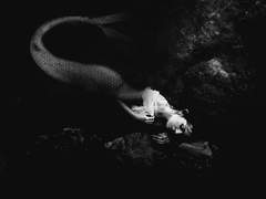 황금빛 인어와 소년