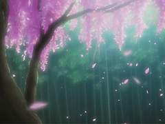 𝐷𝑒𝑛𝑒𝑣 𝐶𝑎𝑟𝑙𝑦/𝐶ℎ𝑢 𝐶ℎ𝑢ㅣ등나무 위 뻐꾸기