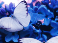 네게 전해보는 편지,