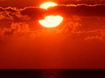 오필리아 벨리타 악마 XX 19