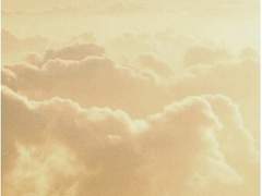 헤일리 에버렛. Haley Everett.