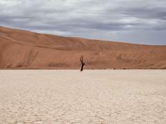 직사각형의 낙원