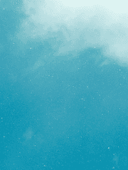 토끼용 짧은 글