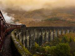 신시아가 보고 싶어서 견딜 수 없는 김레오