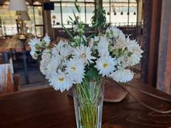 절화에 대한 사랑(상)