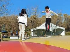 사진 ] 캐나다 family farm..