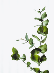 그냥 생각나는대로 쓰는 단편