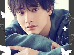 체리마호 배포 도안, 그림