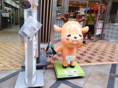 나라 여행 사진