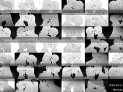 LD 낙서퀄 키스 커미션