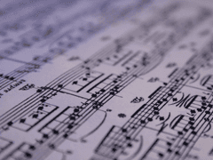 안개는 바다도 삼킨다.