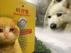 원어스 콘서트 <적월도赤月圖> 후기