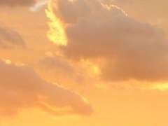 ひまわり よしま