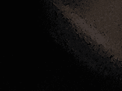 바람처럼 사라지다 (1-1)