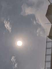 무협로판 세계관 인물