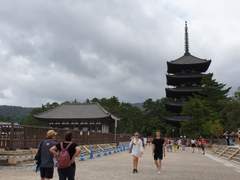 나라 여행 사진