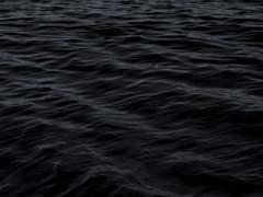 바닥을 구르는 것