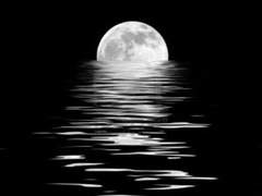 잠들지 못한 밤의 할로윈