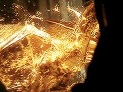 보라 시립 고등학교