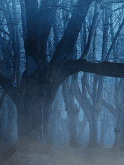 릴 오리지널 단편글