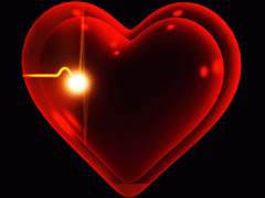 앱노말 하트펑션 : 下