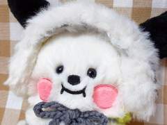 치미의 겨울나기