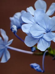 넌 착한 사람, 난 나쁜 사람