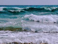 바다는 파랗지 않다.