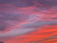 감정을 정리하는 방식