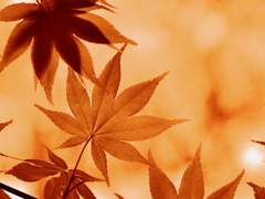 네 살 차이는 궁합도 안 본다던데 (하)