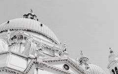 황제가 아끼는 꽃이 하나 있었는데