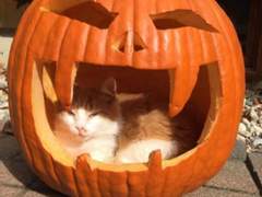 127막내 김여주 모먼트 EP.36