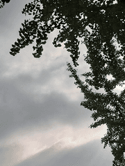 Narrator-나라토르-