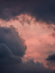 [아츠키타] 순애