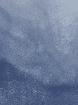 [큰세문대 - 빼빼로데이]