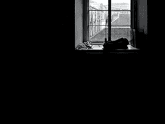 [스포O/베놈1 영화기반 커플링/라이엇베놈]