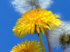 여름이 보이는 곳